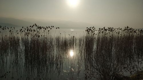 Scenic view of lake against sky at sunset