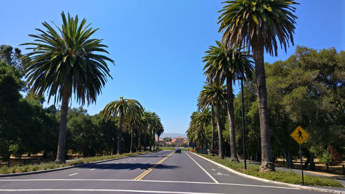 Road amidst trees against clear sky