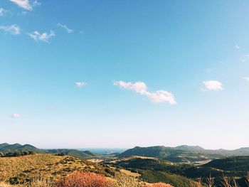 Scenic view of agricultural field against blue sky