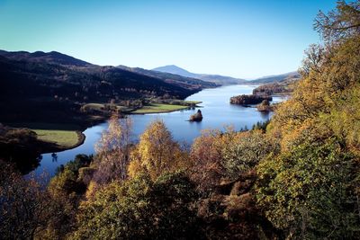 Scenic view of lake in forest against clear blue sky