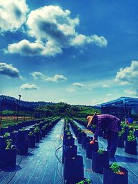 Panoramic view of road against sky