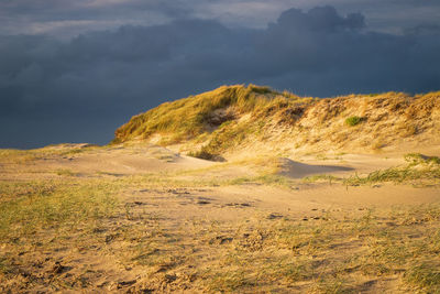 Scenic view of north sea dunes against sky