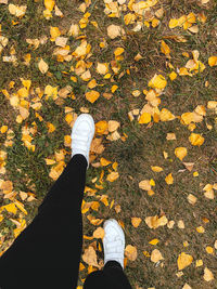 Womens feet stand on the ground covered with golden yellow leaves 