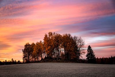 Silhouette trees on field against romantic sky at sunset