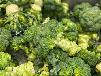 Close-up of green vegetables