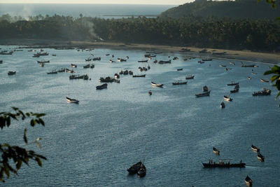 High angle view of birds swimming in lake