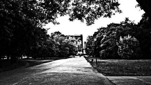 Narrow walkway along trees