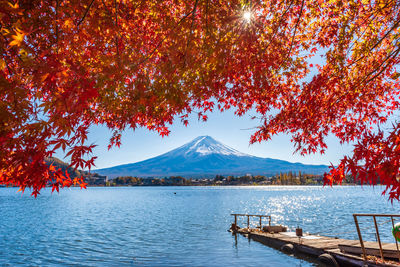 Scenic view of lake by trees against sky during autumn