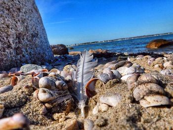 Surface level of rocks in sea