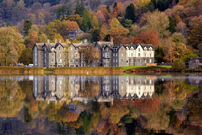 Reflection of trees in water during autumn