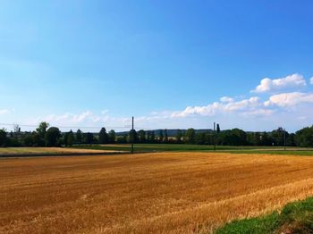 Scenic view of agricultural field against blue sky