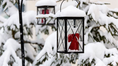 Close-up of white red hanging on snow covered tree