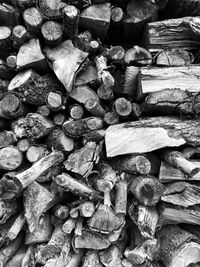 Full frame shot of logs in forest