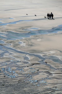 People on beach