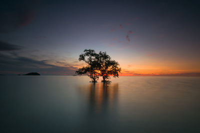 Silhouette tree by sea against romantic sky at sunset