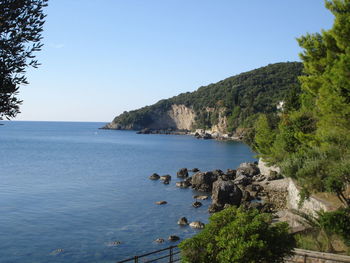 Scenic view of sea against clear sky