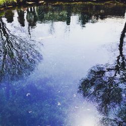 Reflection of tree in lake against sky