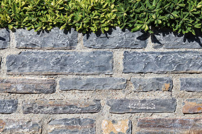 wall