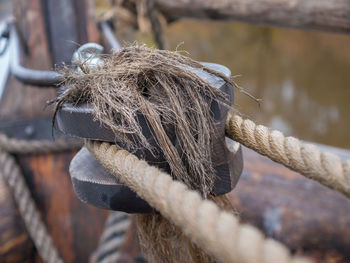 Close-up of rope tied to pulley