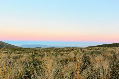 Scenic view of landscape against sky during sunset