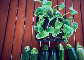 High angle view of vegetables on table