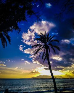Silhouette palm tree by sea against sky at sunset