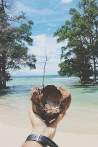 Cropped hand of man holding coconut against sea