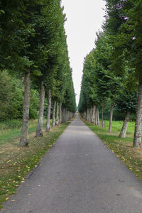 Road amidst trees against sky