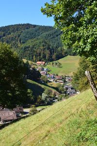 High angle view of trees and buildings on field