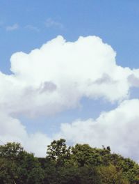 Low angle view of trees against sky