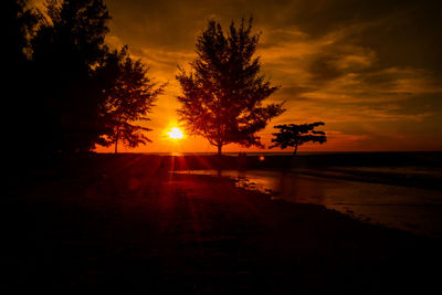 Silhouette trees on beach against sky during sunset