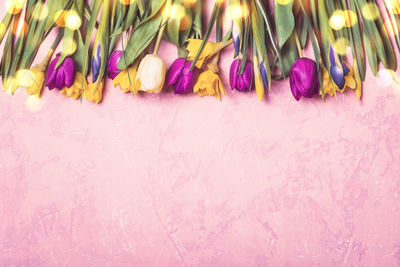 High angle view of pink flowering plants