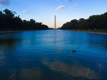 Swans swimming in blue water against sky