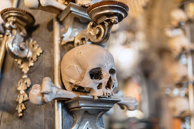 Close-up of human skull