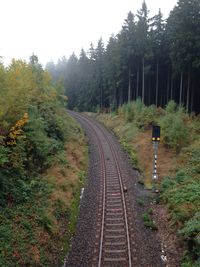 Railroad track in forest