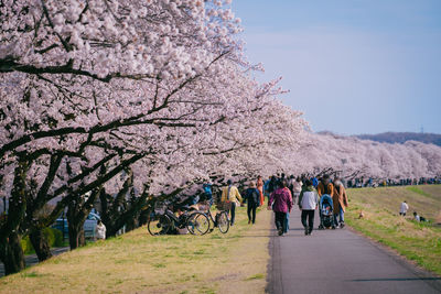 People on road