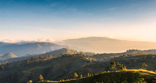 Scenic view of summer landscape