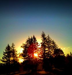 Silhouette trees in forest against sky at sunset