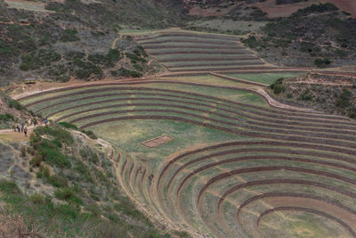 High angle view of agricultural field