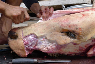 Close-up of person preparing food