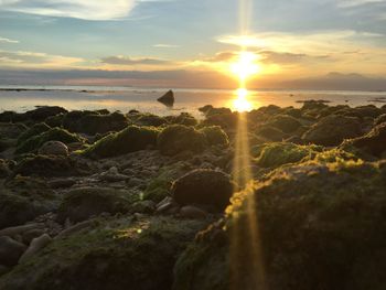 Surface level of sea against sunset sky