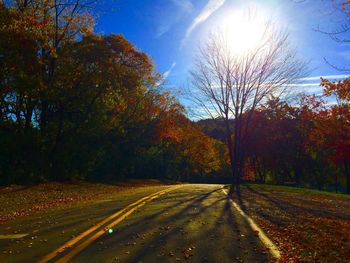 Road amidst trees against sky