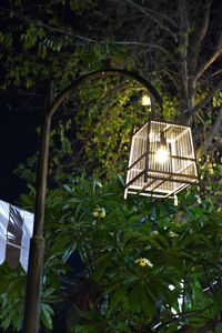 Low angle view of illuminated lantern hanging on tree