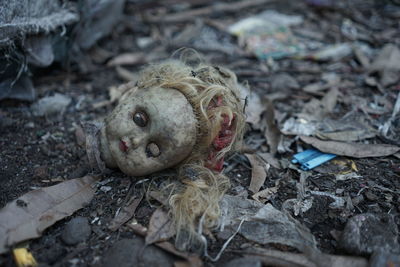 Close-up of abandoned toy on field