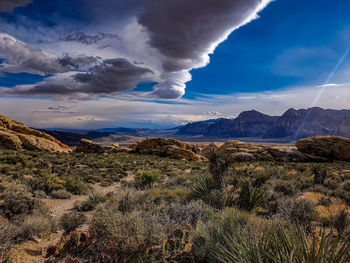 Scenic view of landscape against sky