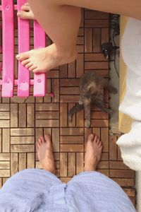 Low section of people with cat on boardwalk