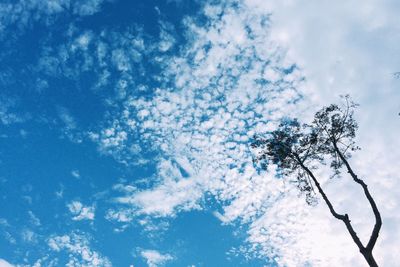 Low angle view of tree against cloudy sky