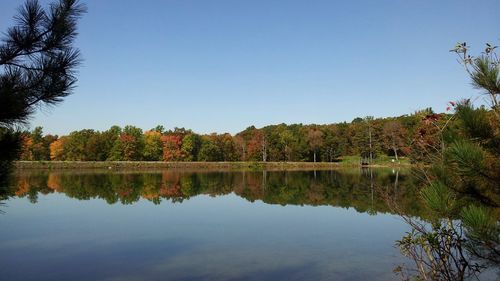Reflection of trees in calm lake