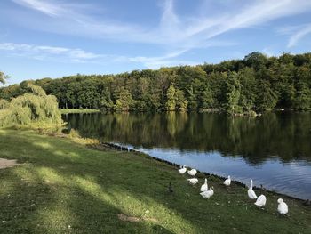 Scenic view of lake by trees against sky