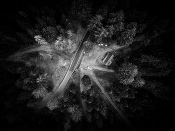 High angle view of road amidst trees in forest
